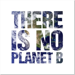 There Is No Planet B Earth Posters and Art